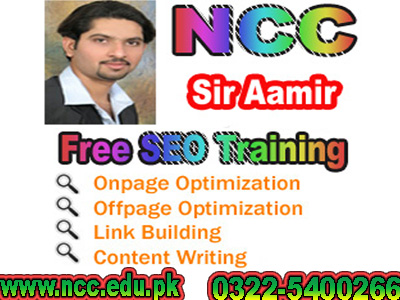 advance seo expert